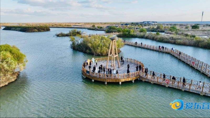 界排名出炉 界排名出炉