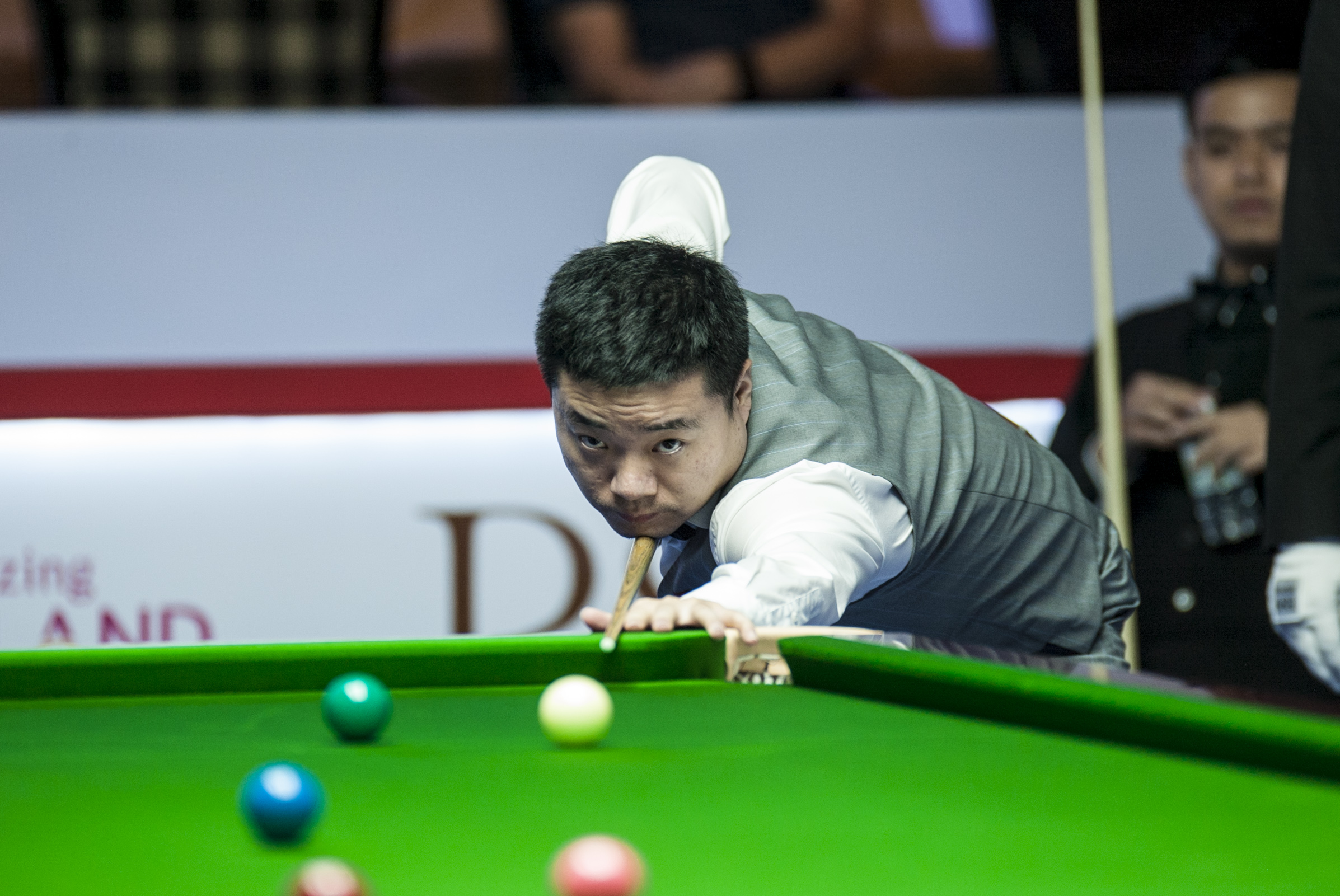 疑是他们长 疑是他们长