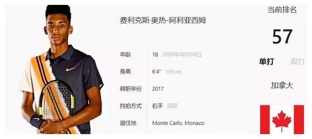 意义与未来 意义与未来